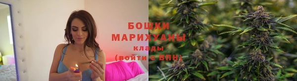 стаф Михайловск