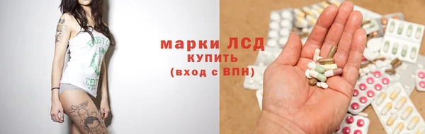 стаф Михайловск