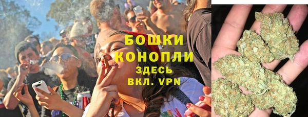 шишки Михайловка