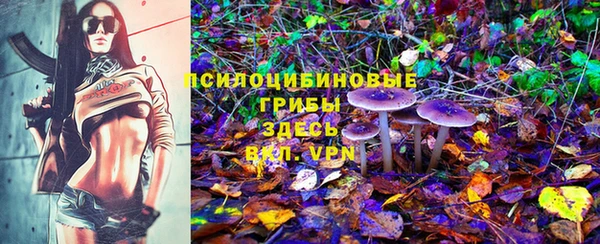 шишки Михайловка