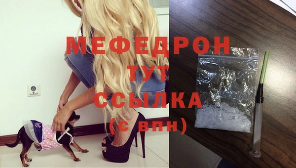 стаф Михайловск