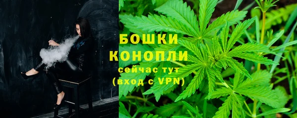 шишки Михайловка