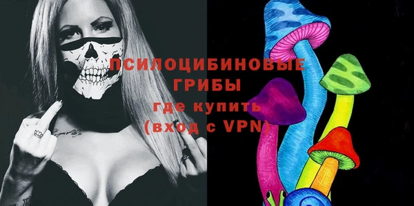 шишки Михайловка