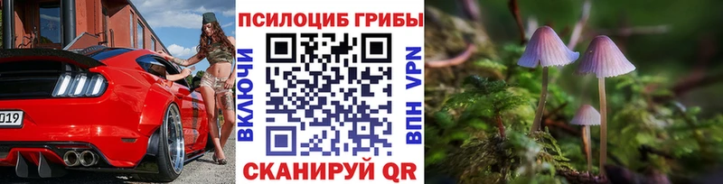 Купить где  Ревда  Псилоцибиновые грибы Magic Shrooms 